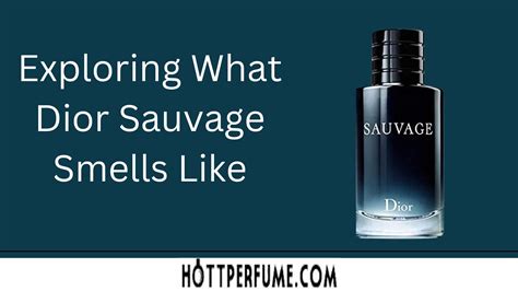 smells like sauvage|what aftershave smells like sauvage.